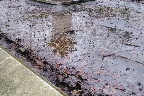 Dachreinigung erforderlich