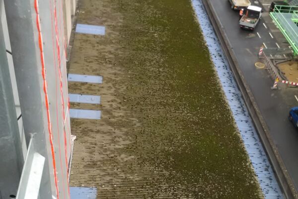 Blühende Dachlandschaften vor der Sanierung