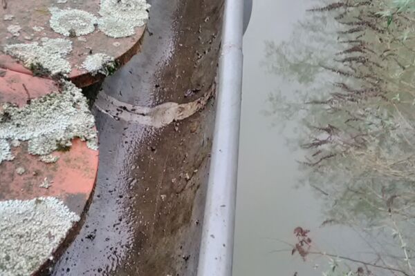 Biberschwanz Wartung erledigt