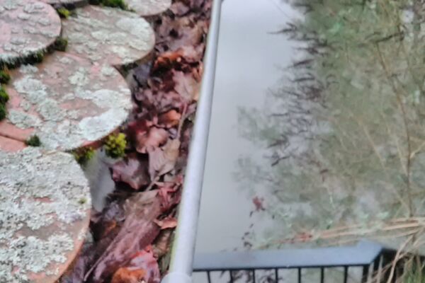 Dachrinne braucht Wartung