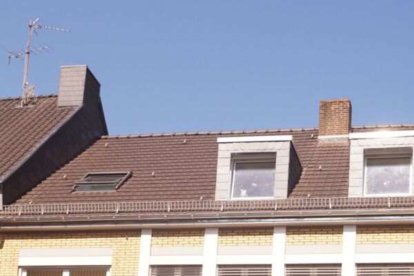 Steildach Gauben Schiefer