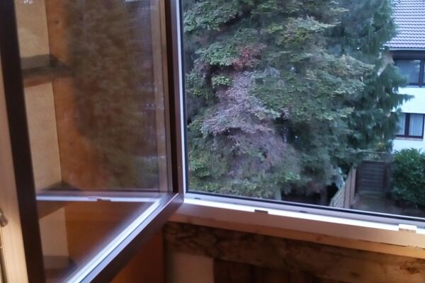 Erneuerung Wohnraumfenster und Schieferbekleidungen