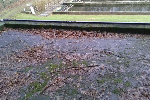 Flachdach braucht Reinigung