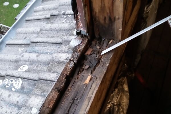 Erneuerung Wohnraumfenster und Schieferbekleidungen